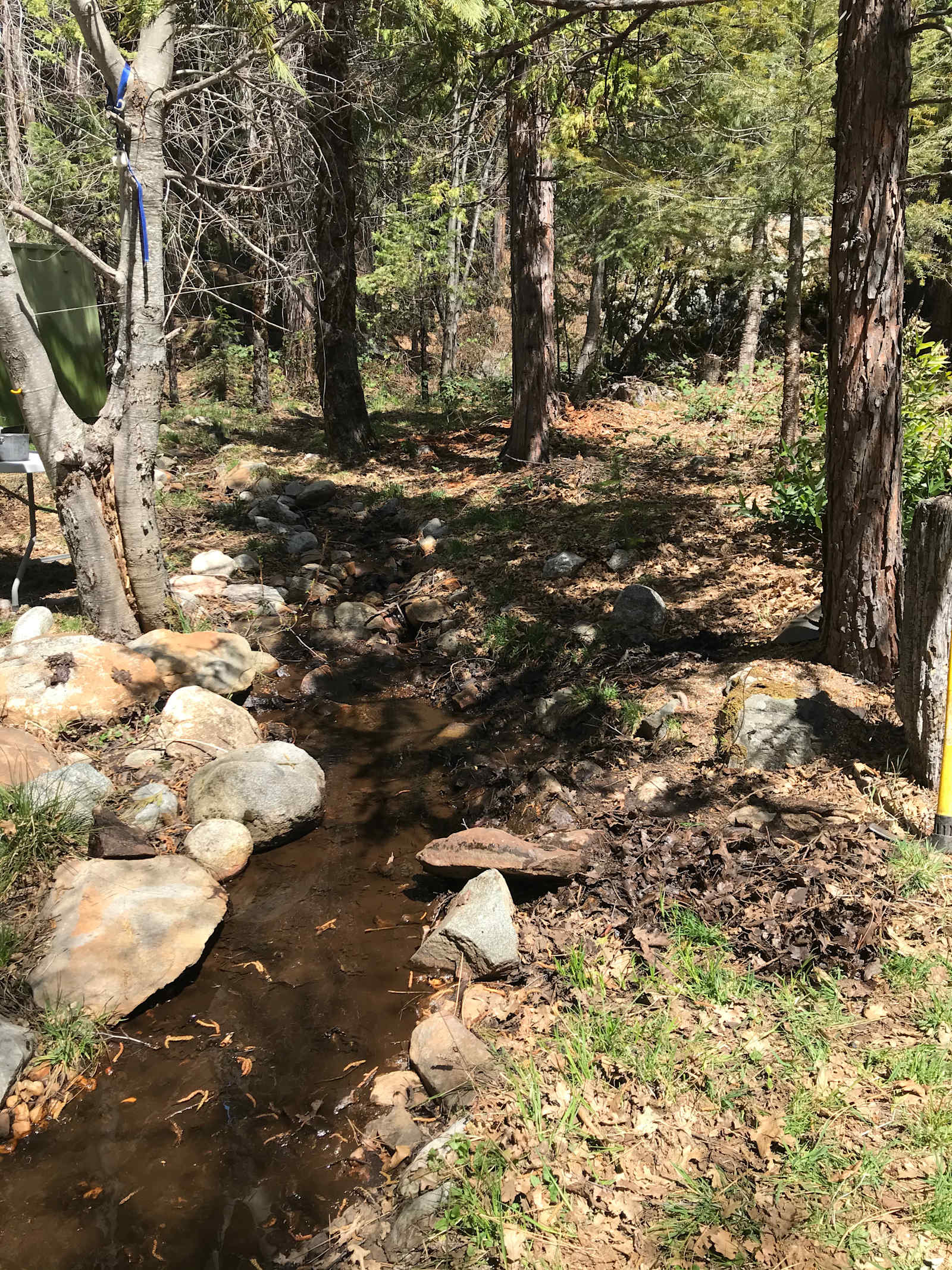 Camp WAN-NA-B at Bear Valley - Nevada City, California - glamping.directory