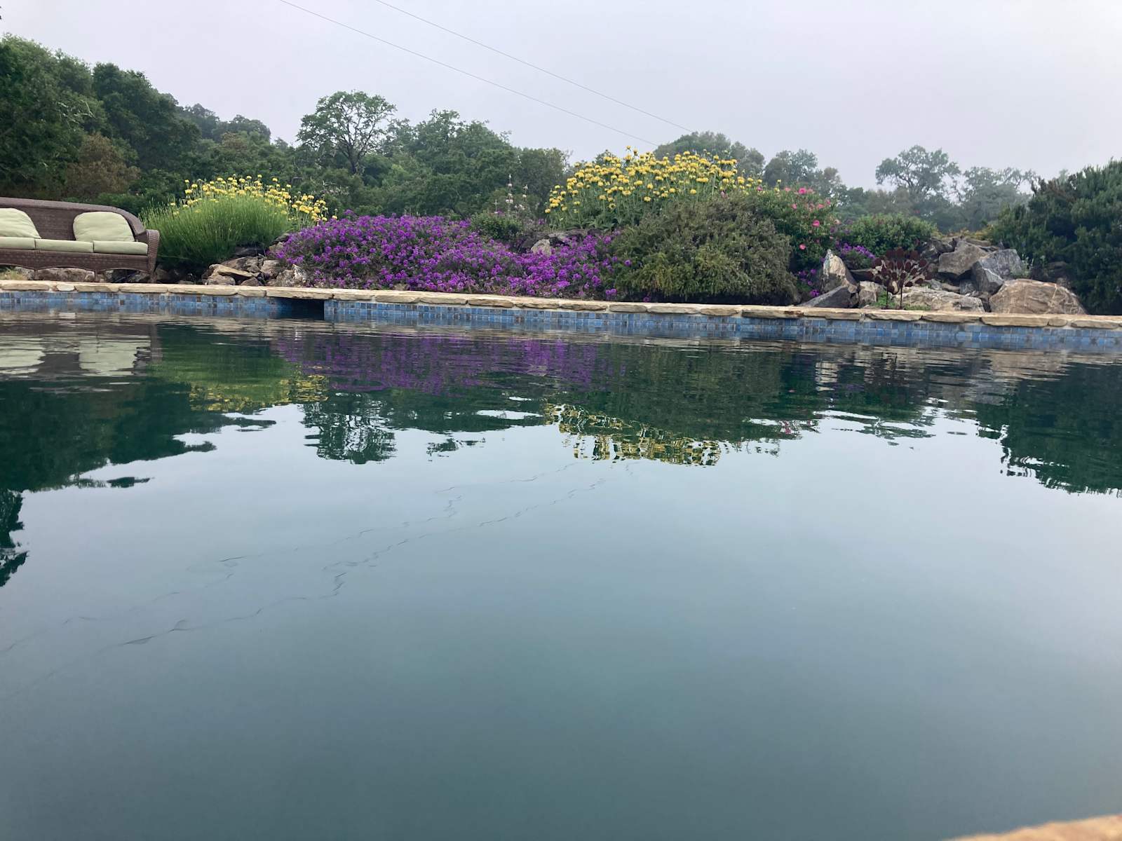 Biggie Swims - Ukiah, California - glamping.directory