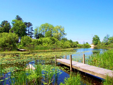Rustic Cabin Rental on a Wildlife Sanctuary in Manistee, Michigan - Manistee, Michigan - glamping.directory