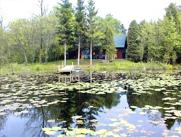 Rustic Cabin Rental on a Wildlife Sanctuary in Manistee, Michigan - Manistee, Michigan - glamping.directory