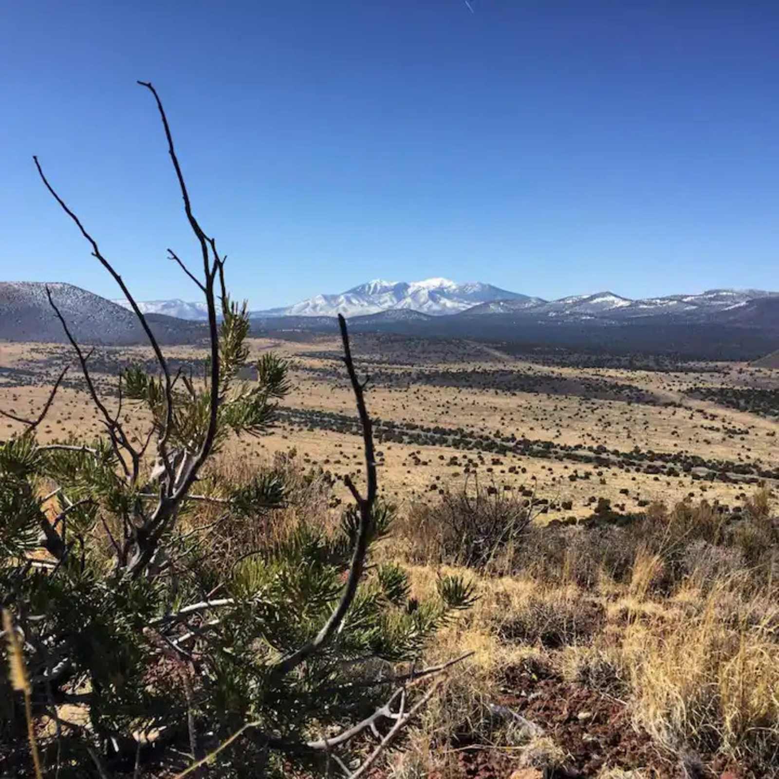 Milky Way Hip Camp - Flagstaff, Arizona - glamping.directory