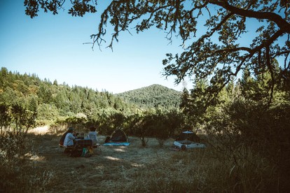 Cabin Camping Rental with Private Pond in Mendocino County, California - Laytonville, California - glamping.directory