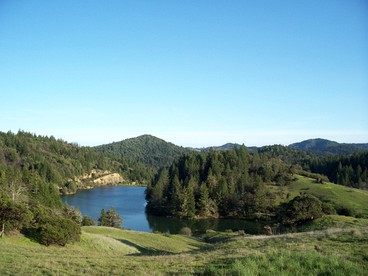 Cabin Camping Rental with Private Pond in Mendocino County, California - Laytonville, California - glamping.directory