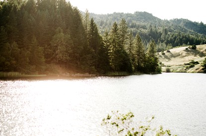 Cabin Camping Rental with Private Pond in Mendocino County, California - Laytonville, California - glamping.directory