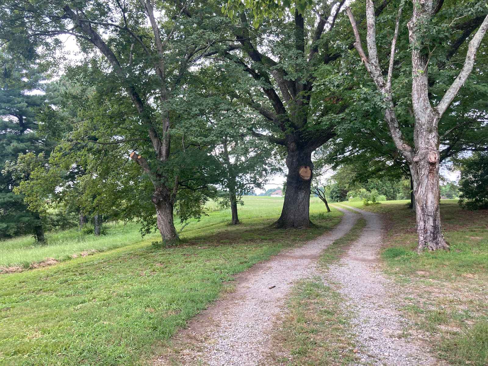 Artist And Timber Framer Home - Cullman, Alabama - glamping.directory