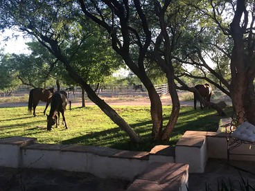 Peaceful Bed and Breakfast Suite near Madera Canyon in Amado, Arizona - Amado, Arizona - glamping.directory