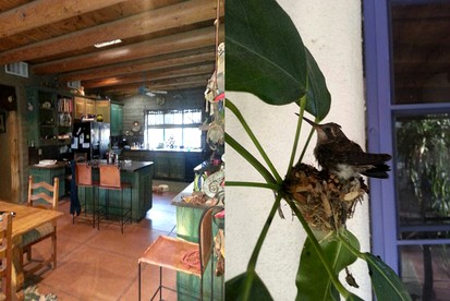 Peaceful Bed and Breakfast Suite near Madera Canyon in Amado, Arizona - Amado, Arizona - glamping.directory