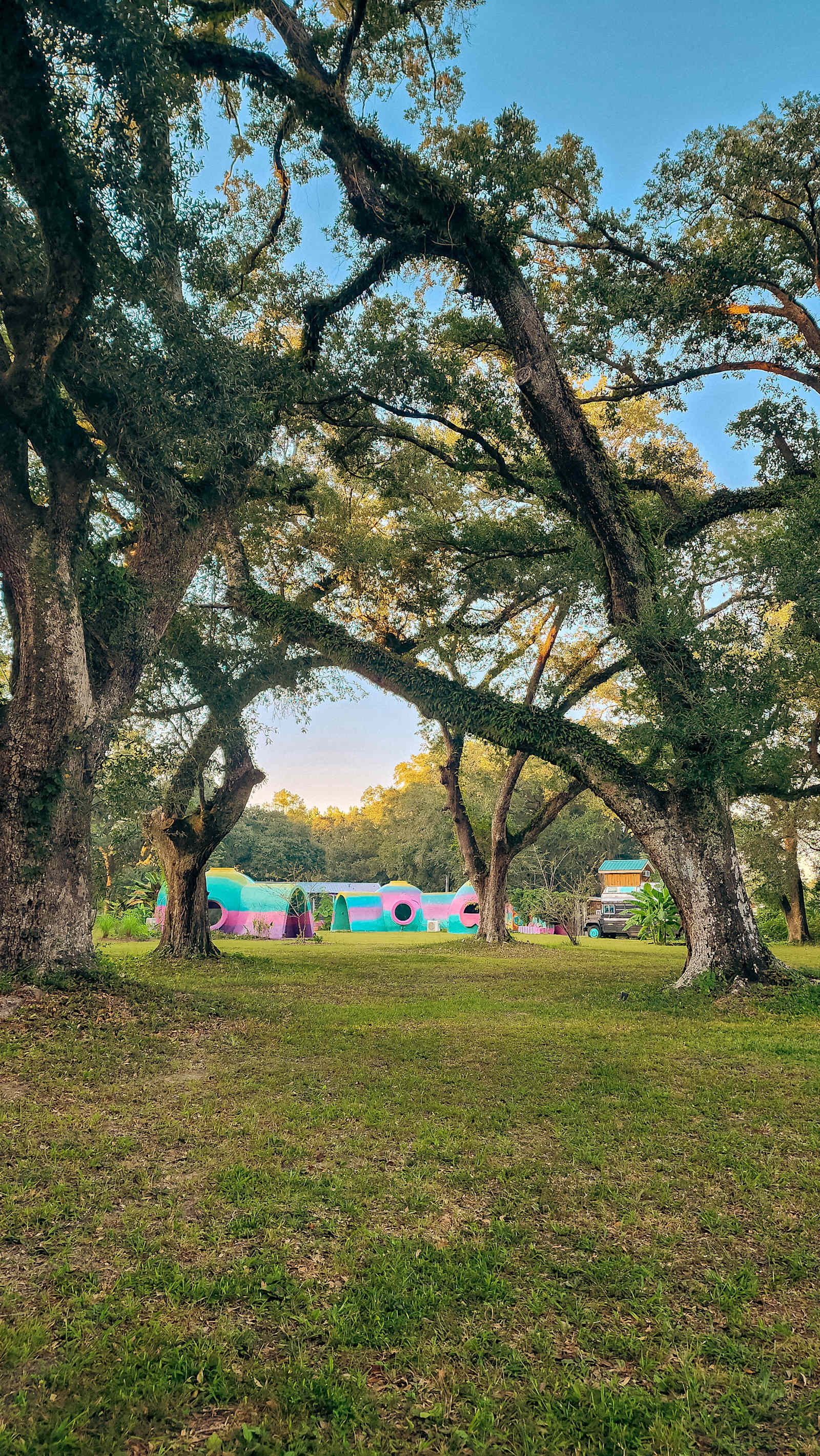 Colorful Camping at Beakertopia✨️🌈 - glamping.directory