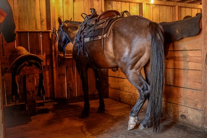Western-Themed Cabins on Luxury Bull Ranch in Washington State - Kettle Falls, Washington - glamping.directory
