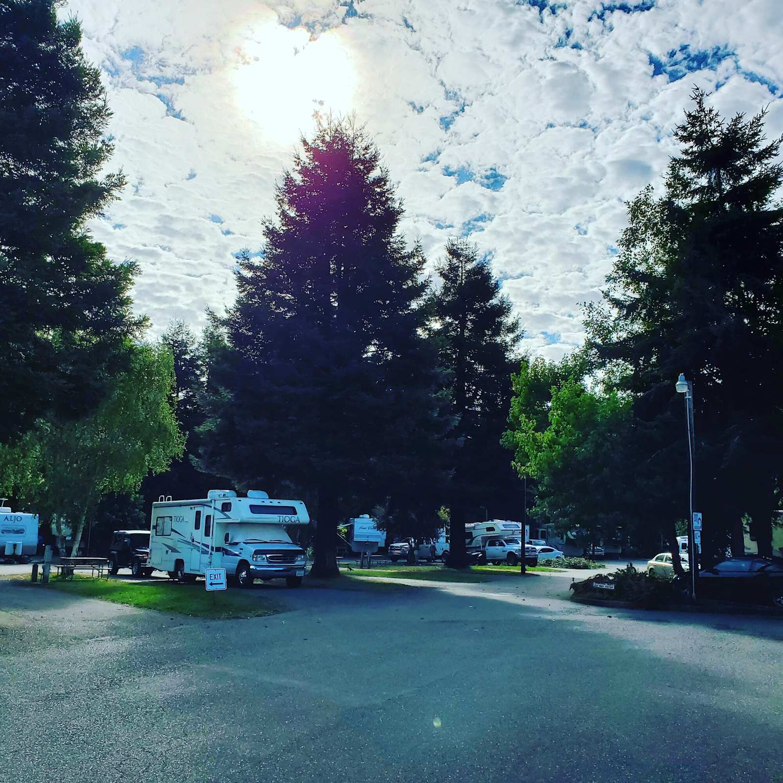 Riverwalk RV Park - Fortuna, California - glamping.directory