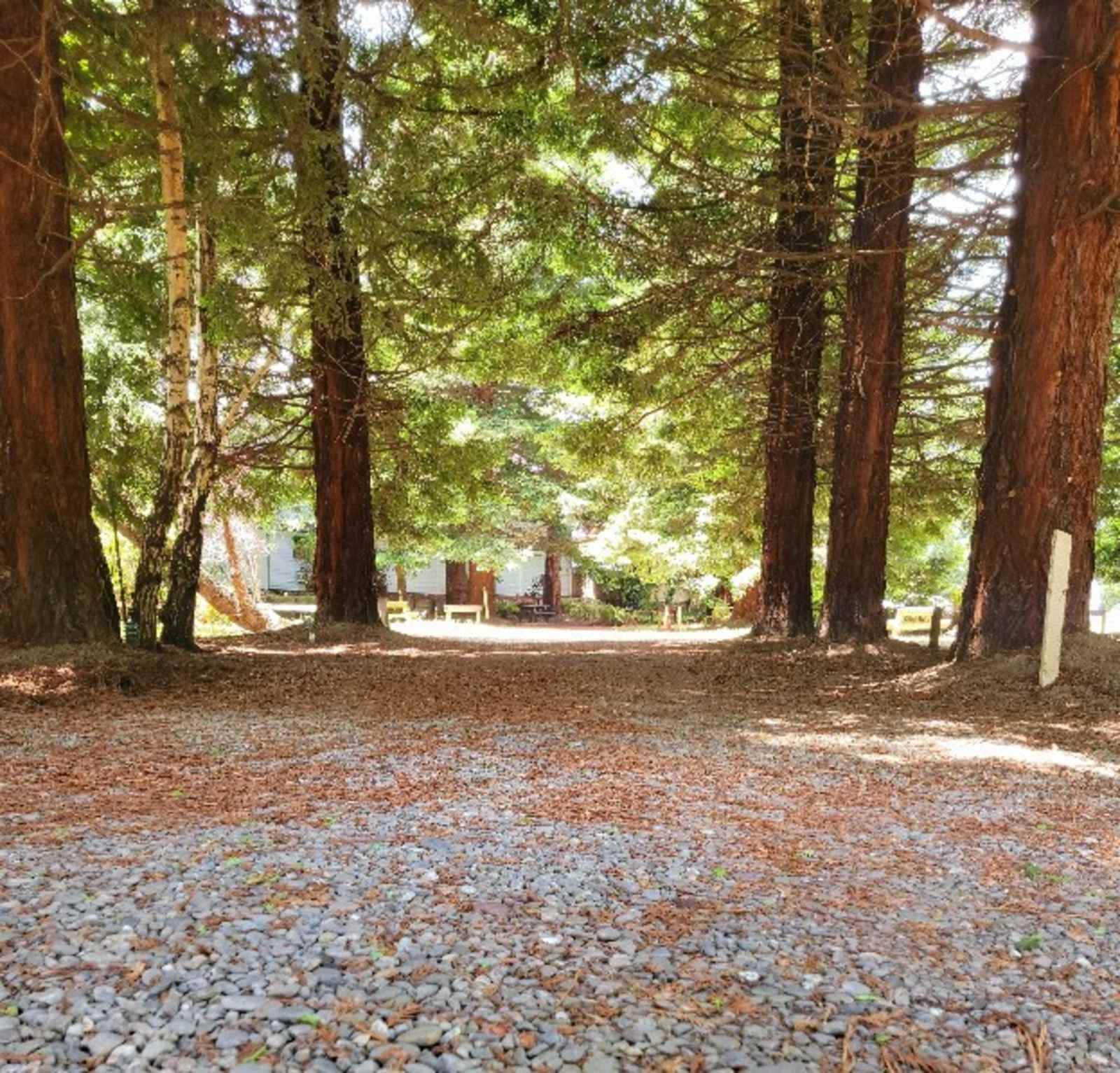 Riverwalk RV Park - Fortuna, California - glamping.directory
