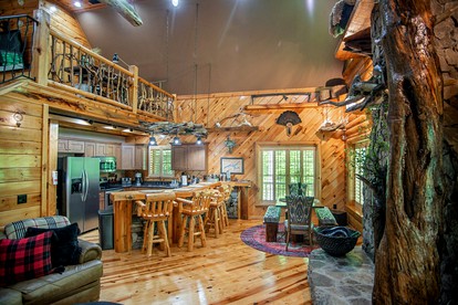 Unplug & Unwind: Glamping Getaway on Watauga Lake, Tennessee - Butler, Tennessee - glamping.directory