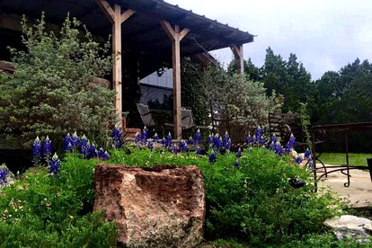 Blue Bird Cabin with Hot Tub in Texas Hill Country - Wimberley, Texas - glamping.directory