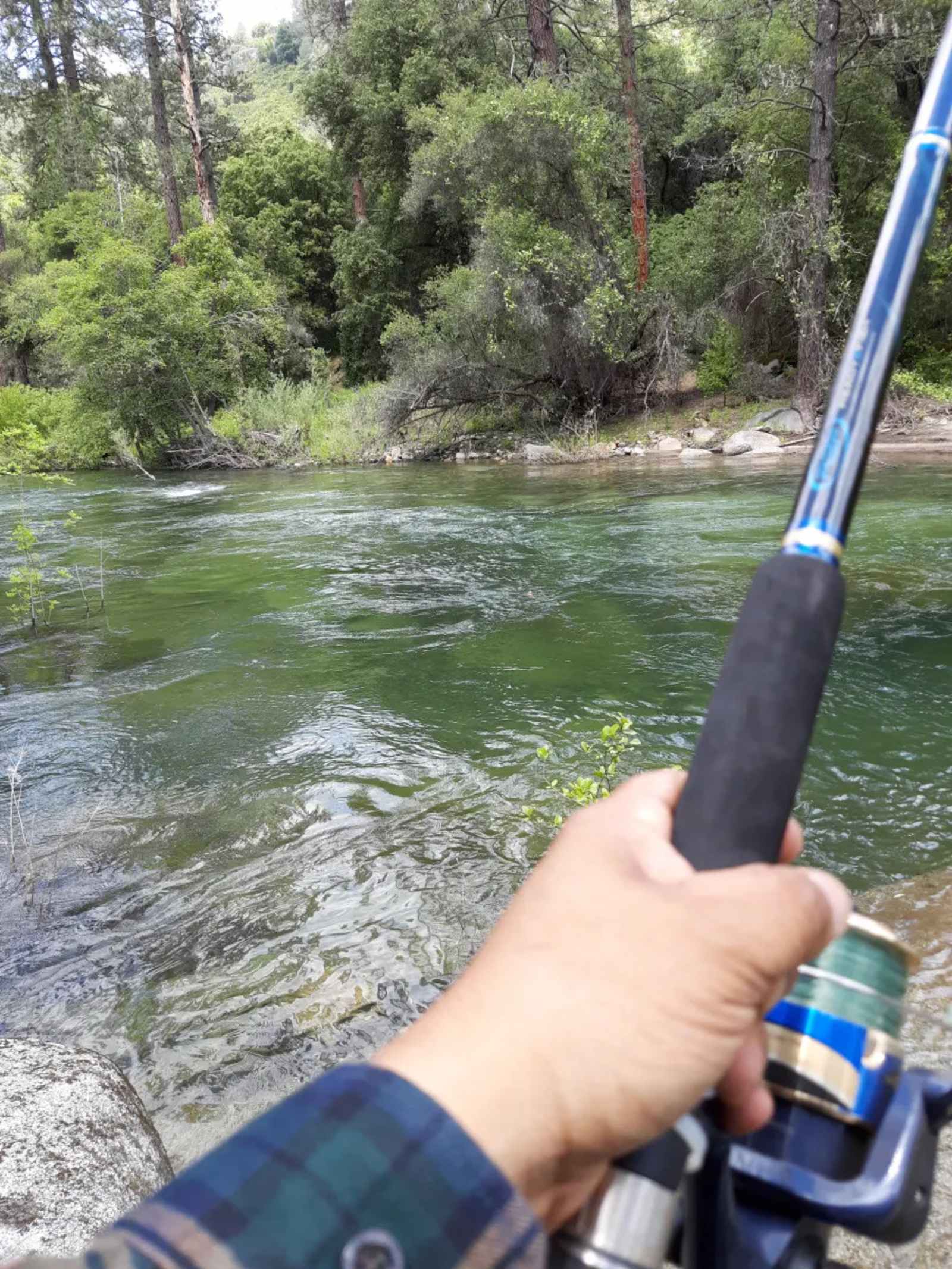 Cosumnes River Somerset Camp - Somerset, California - glamping.directory