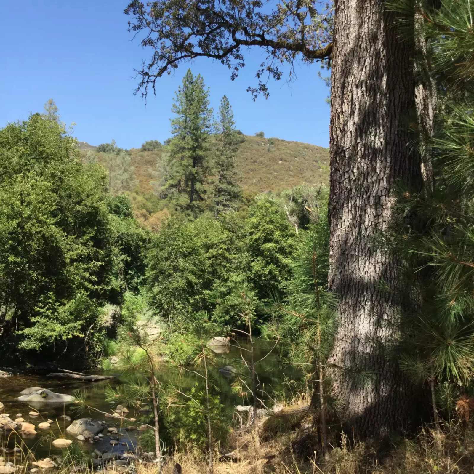 Cosumnes River Somerset Camp - Somerset, California - glamping.directory