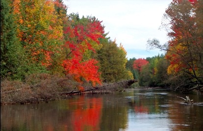 Secluded and Peaceful Cabin Rentals Along the Au Sable River in Michigan - Grayling , Michigan - glamping.directory