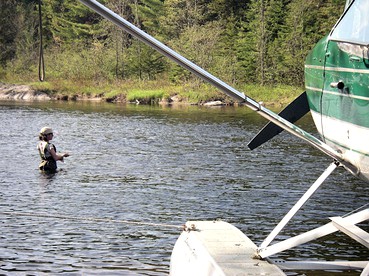 Rustic Cabin Rental by Bluffer Pond in Ashland, Maine - Ashland, Maine - glamping.directory