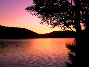 Rustic Cabin Rental by Bluffer Pond in Ashland, Maine - Ashland, Maine - glamping.directory