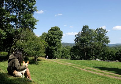 Camping Retreat Ideal for a Family Getaway on a Farm in Jeffersonville, New York - Jeffersonville, New York - glamping.directory