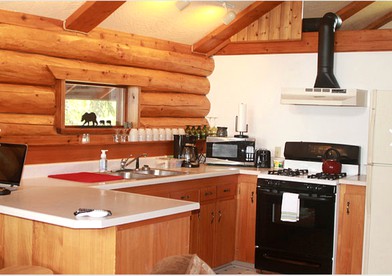 Spacious Cabin Getaway with Views of the Kenai Mountains near Sterling, Alaska - Sterling, Alaska - glamping.directory