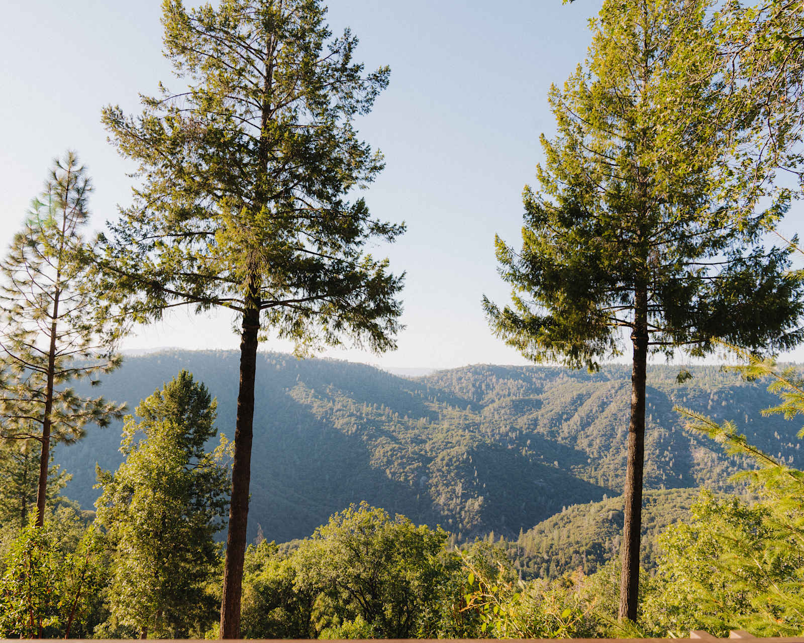 Ridgetop Ranch - Nevada City, California - glamping.directory