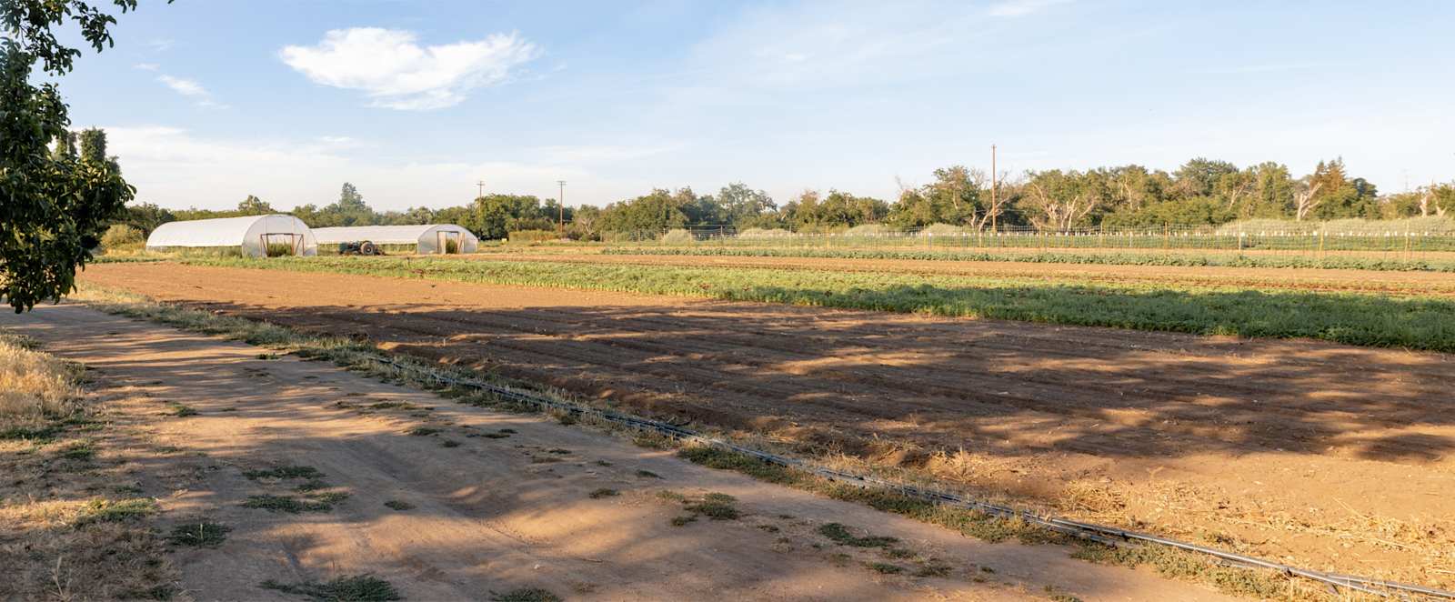 Grub CSA Farm - Chico, California - glamping.directory