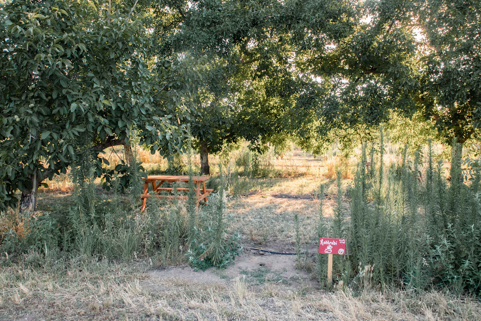 Grub CSA Farm - Chico, California - glamping.directory