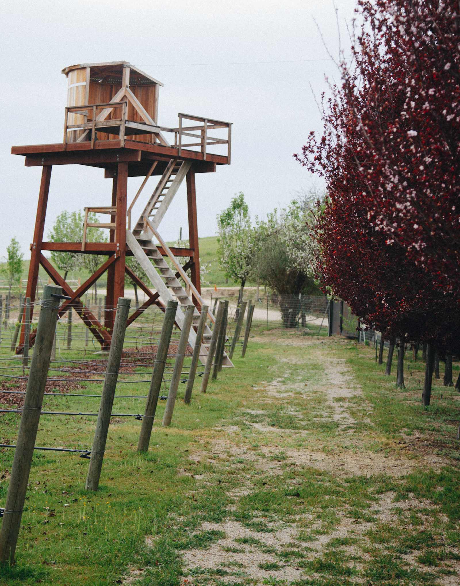 Private Campground in Wine Country - San Miguel, California - glamping.directory
