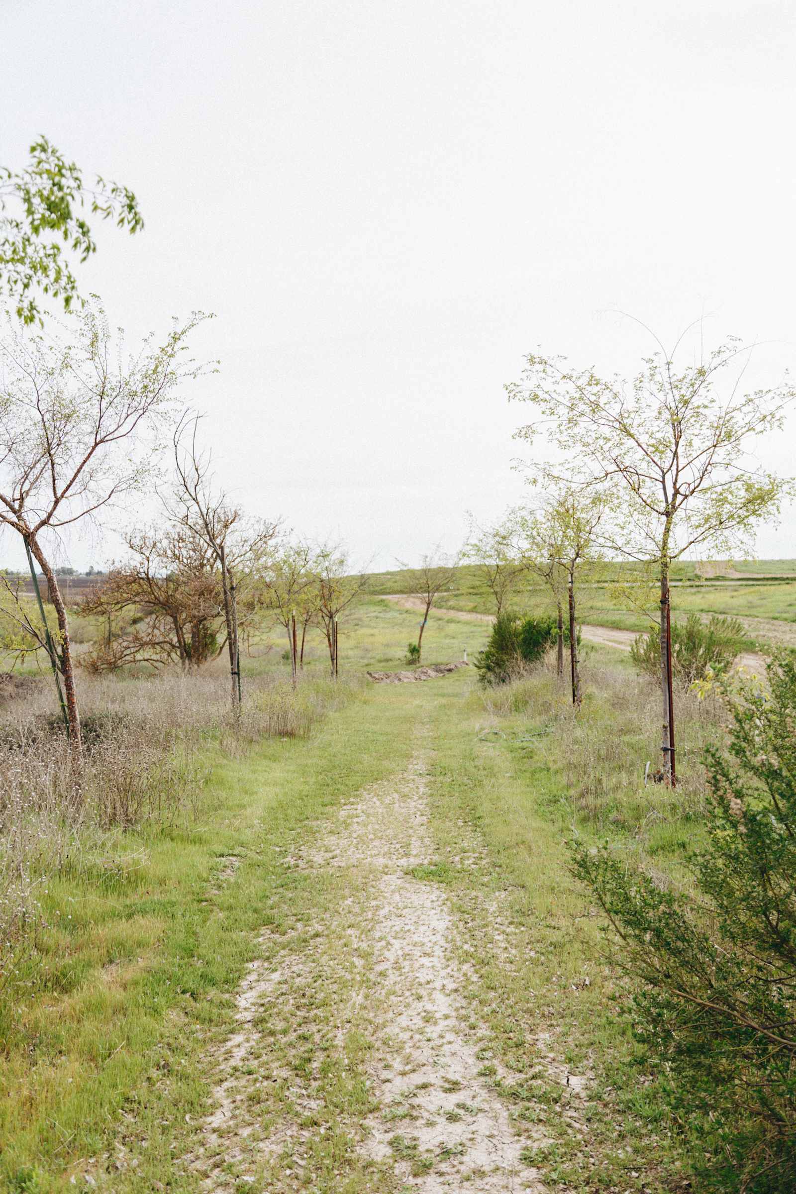 Private Campground in Wine Country - San Miguel, California - glamping.directory