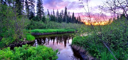 Off-Grid Cabin Nestled Among Nature with Lovely Landscape Views in Maine - Grand Isle, Maine - glamping.directory
