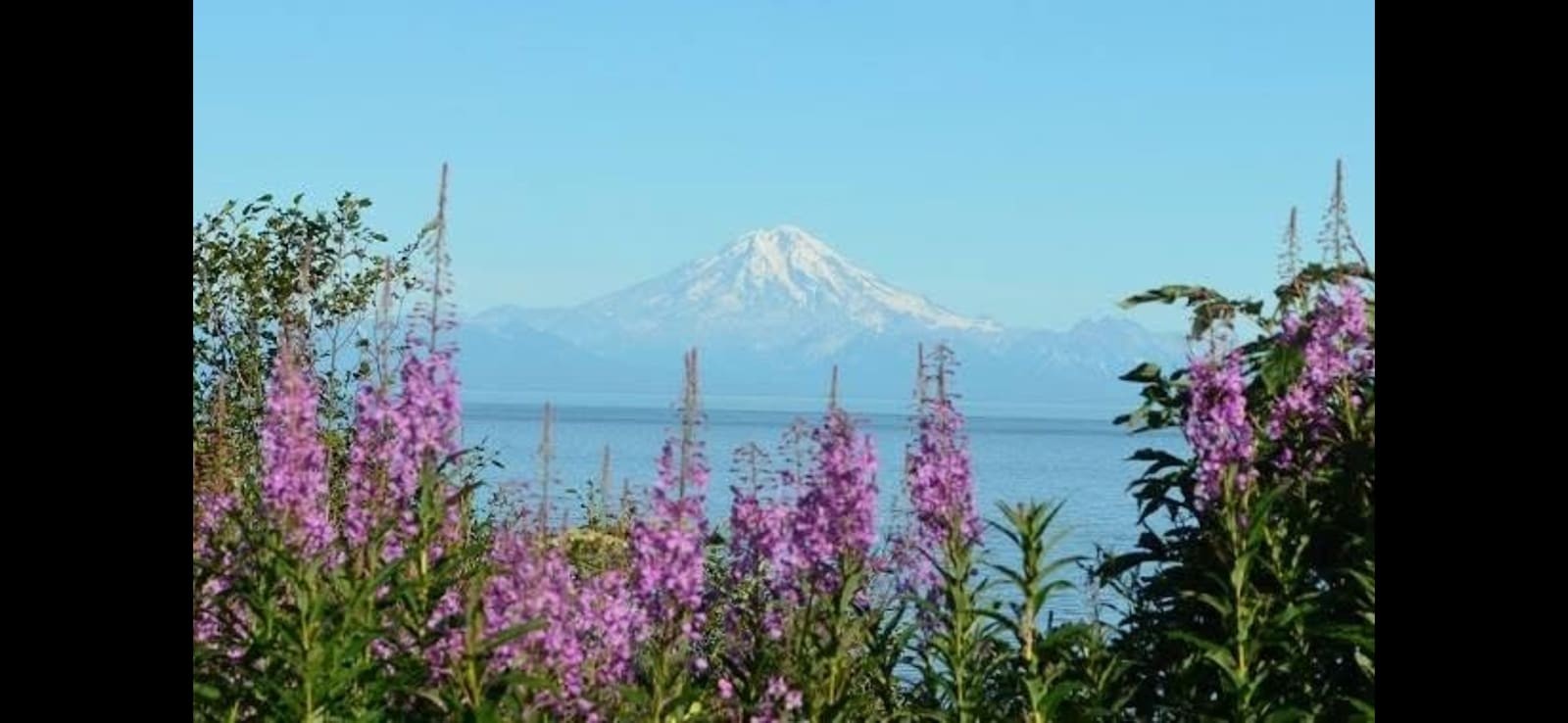 Cook Inlet Cabins - Ninilchik, Alaska - glamping.directory