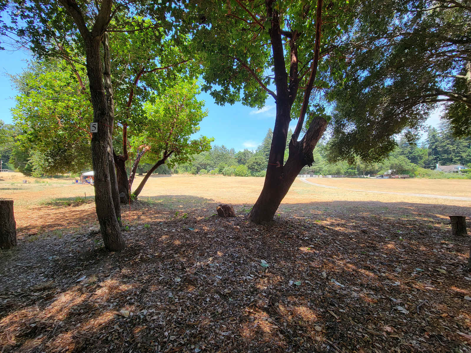 Felton Open Space Camp Sites - glamping.directory