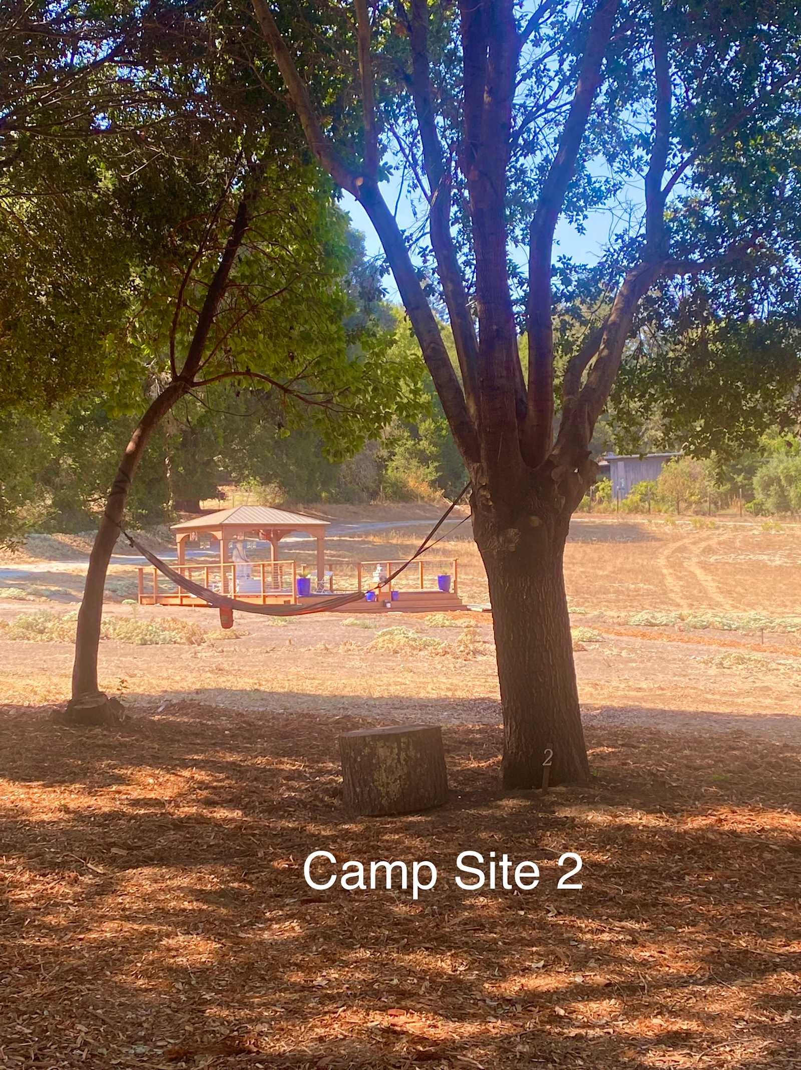 Felton Open Space Camp Sites - Felton, California - glamping.directory