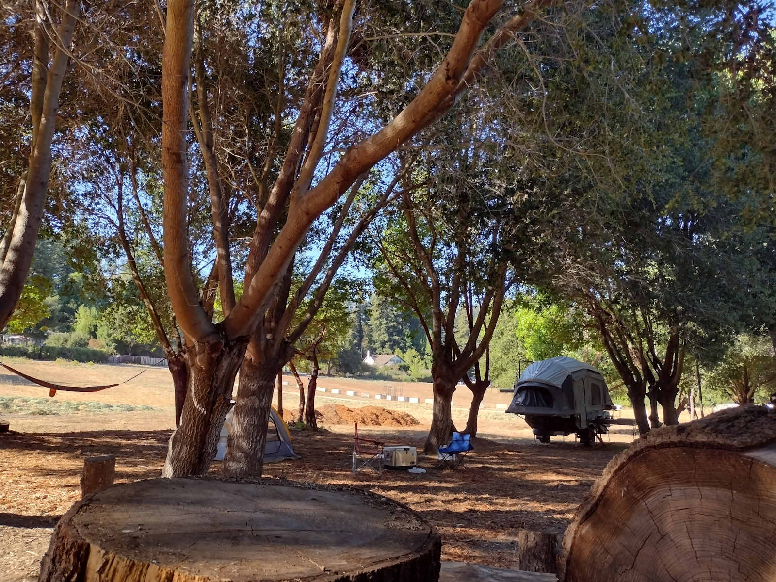 Felton Open Space Camp Sites - Felton, California - glamping.directory