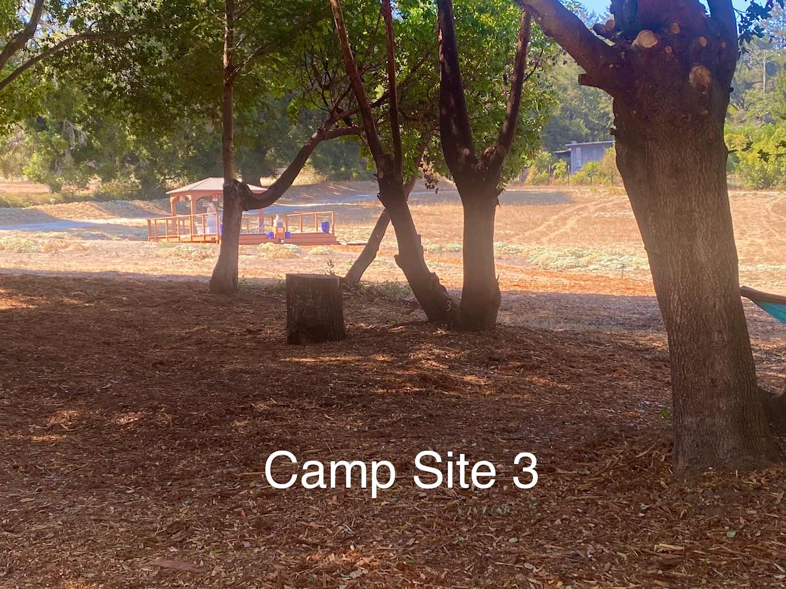 Felton Open Space Camp Sites - Felton, California - glamping.directory