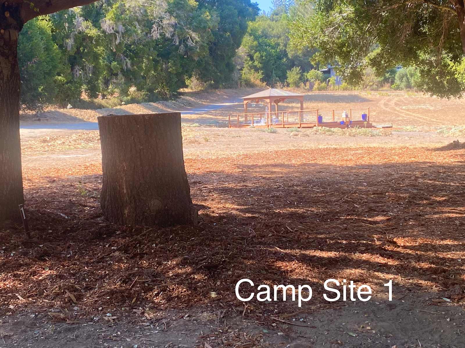 Felton Open Space Camp Sites - Felton, California - glamping.directory