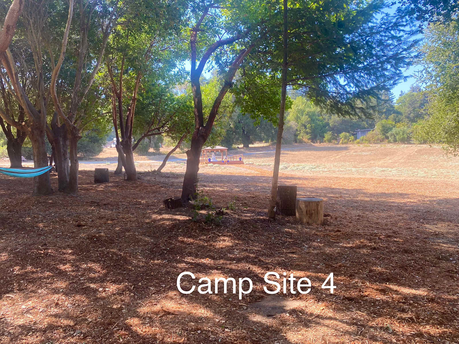 Felton Open Space Camp Sites - Felton, California - glamping.directory