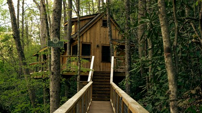 Cute Tree House with Barbecue in Gatlinburg, Tennessee - Gatlinburg, Tennessee - glamping.directory