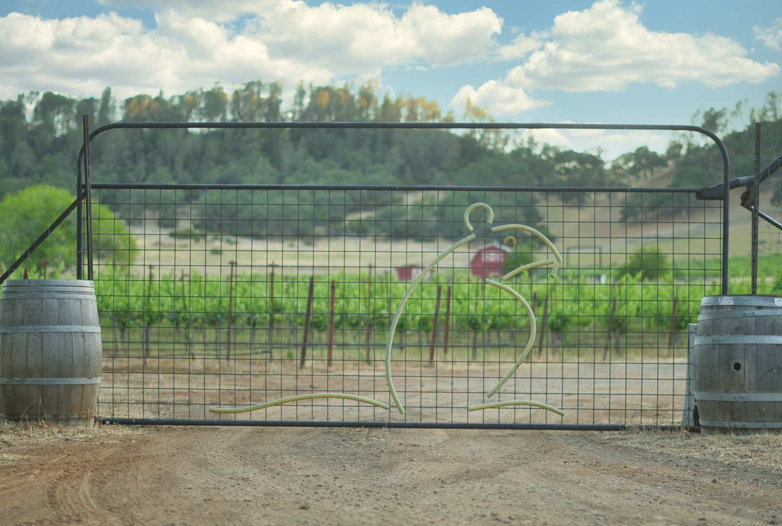 Vineyard Camping at Bad Rat Ranch - Lower Lake, California - glamping.directory