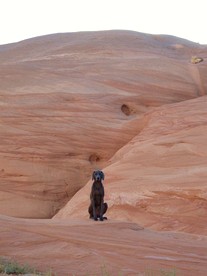 Gorgeous Cottage Vacation Rental in Page Arizona, near Antelope Canyon - Page, Arizona - glamping.directory