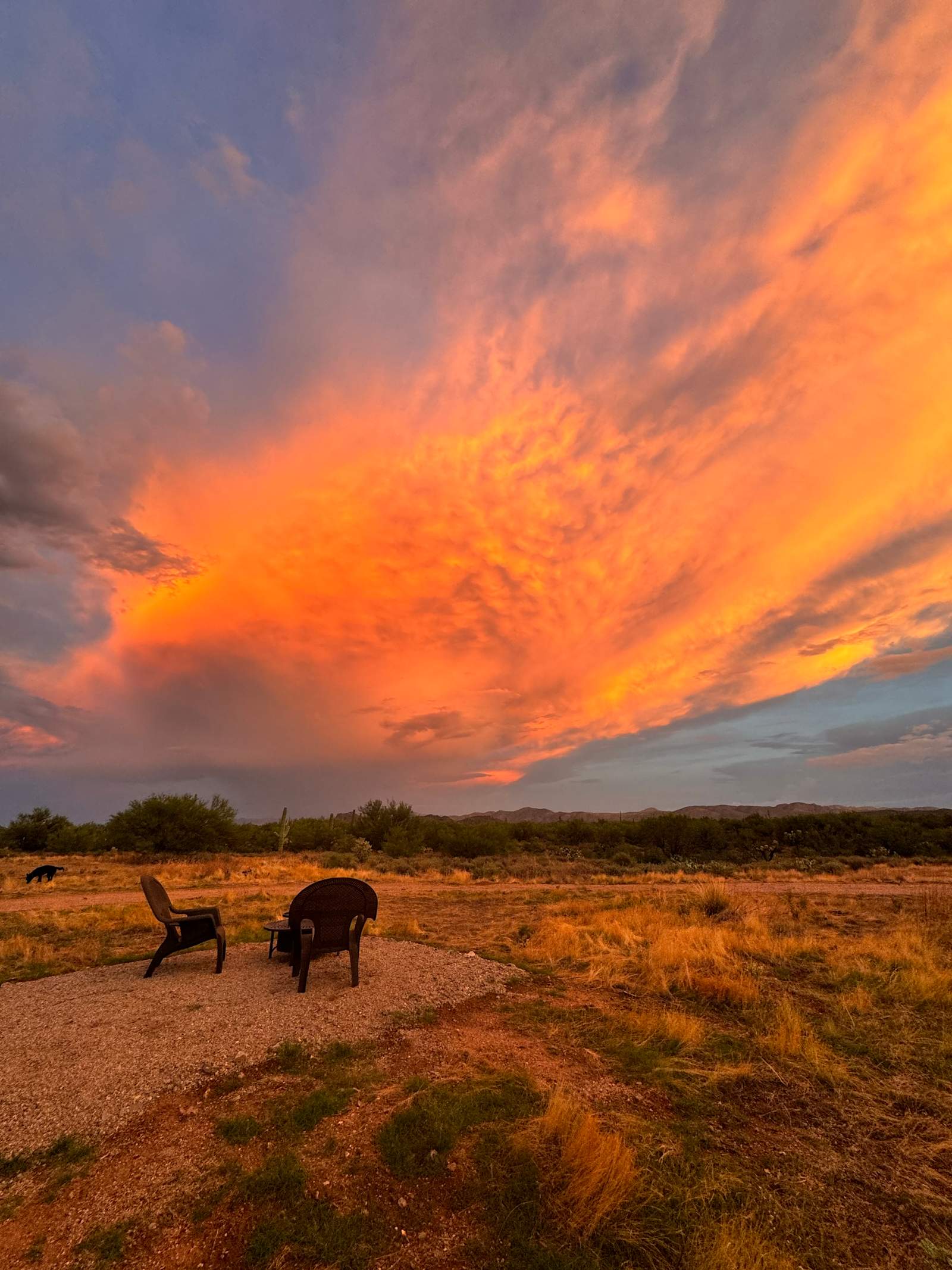 Weary Traveler Haven - Marana, Arizona - glamping.directory