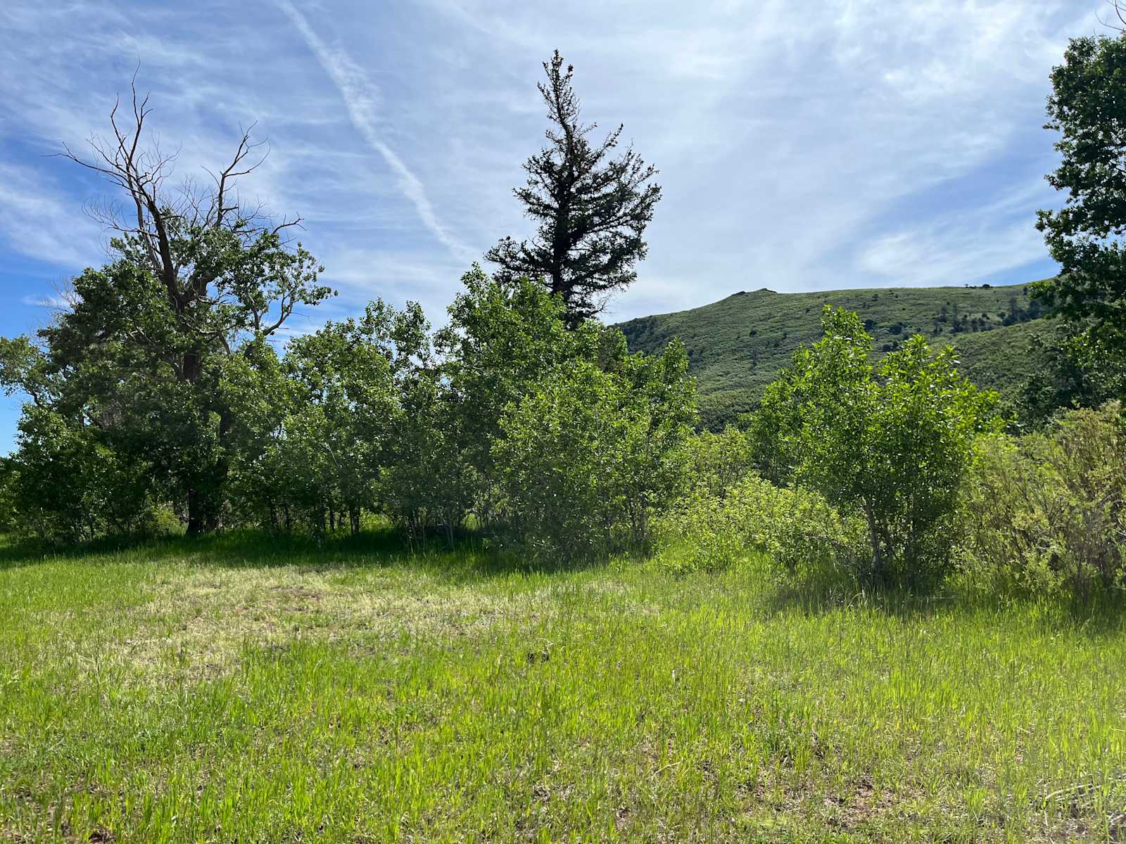 Lone Spruce Camp - La Veta, Colorado - glamping.directory