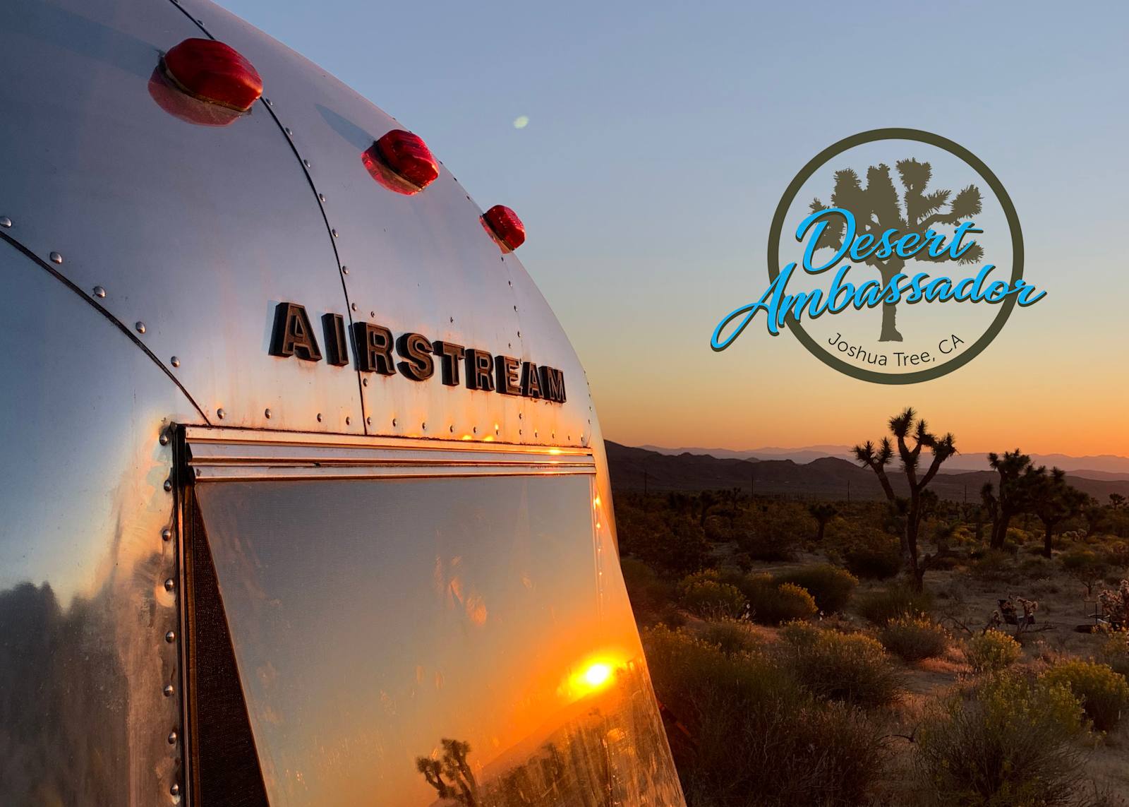 The Desert Ambassador Camp - glamping.directory