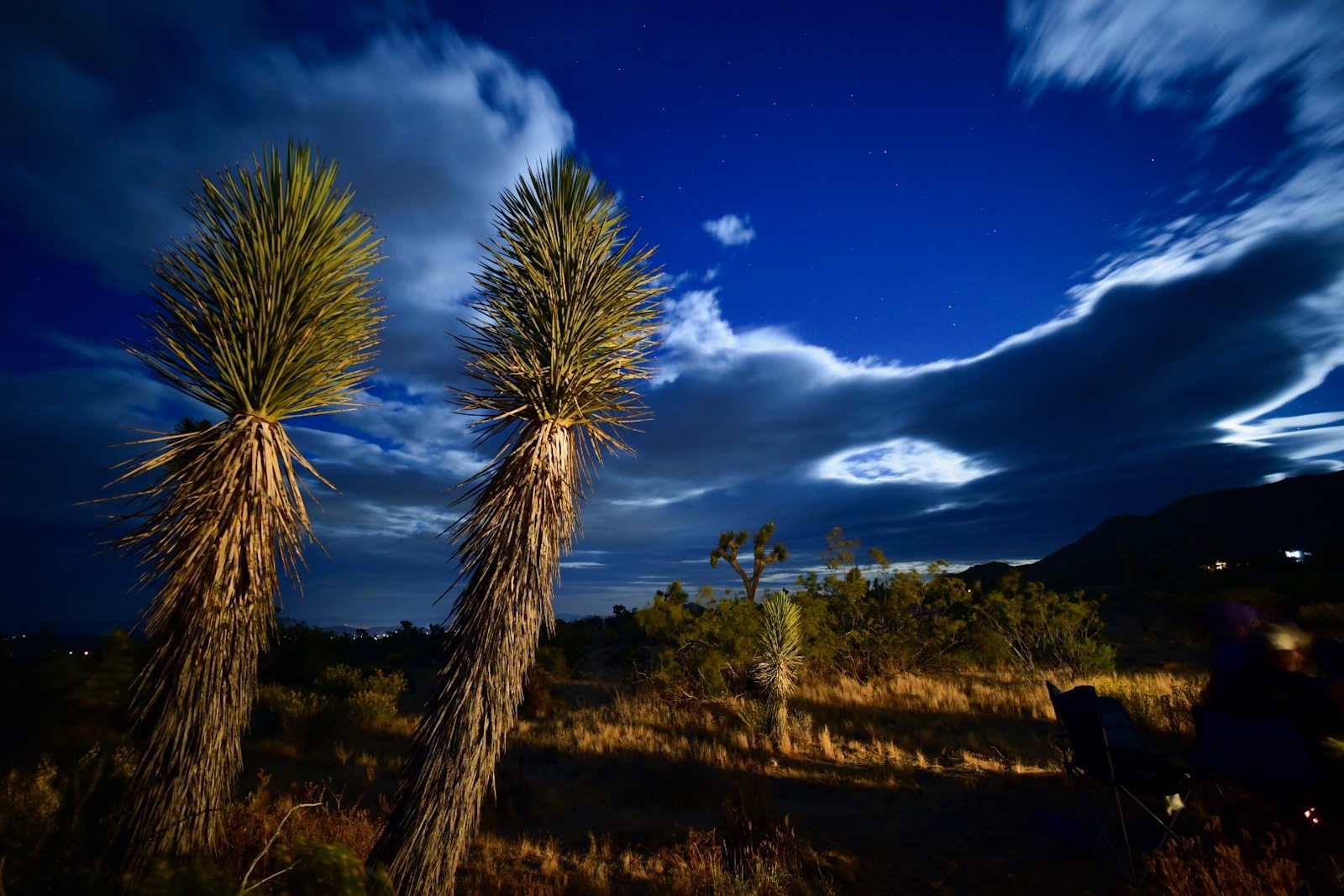 The Desert Ambassador Camp - Yucca Valley, California - glamping.directory