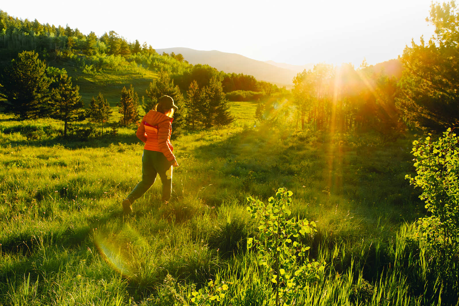Camp Always Choose Adventures - Idaho Springs, Colorado - glamping.directory