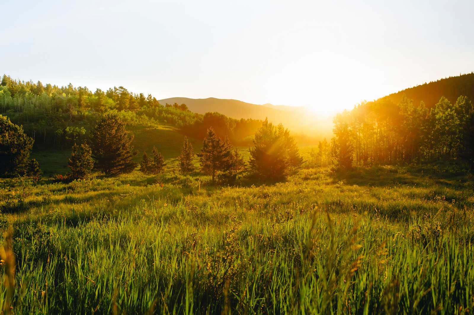 Camp Always Choose Adventures - Idaho Springs, Colorado - glamping.directory