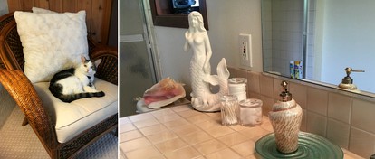 Beautiful Bed and Breakfast Suite with Private Deck in Kealakekua, Hawaii - Kealakekua, Hawaii - glamping.directory
