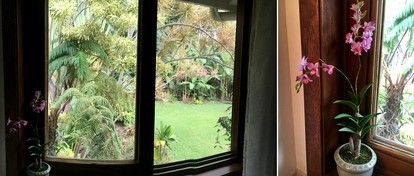 Beautiful Bed and Breakfast Suite with Private Deck in Kealakekua, Hawaii - Kealakekua, Hawaii - glamping.directory