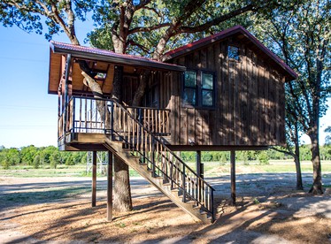 Tree House for Two, Ideal for a Glamping Getaway near Baylor, Texas - glamping.directory
