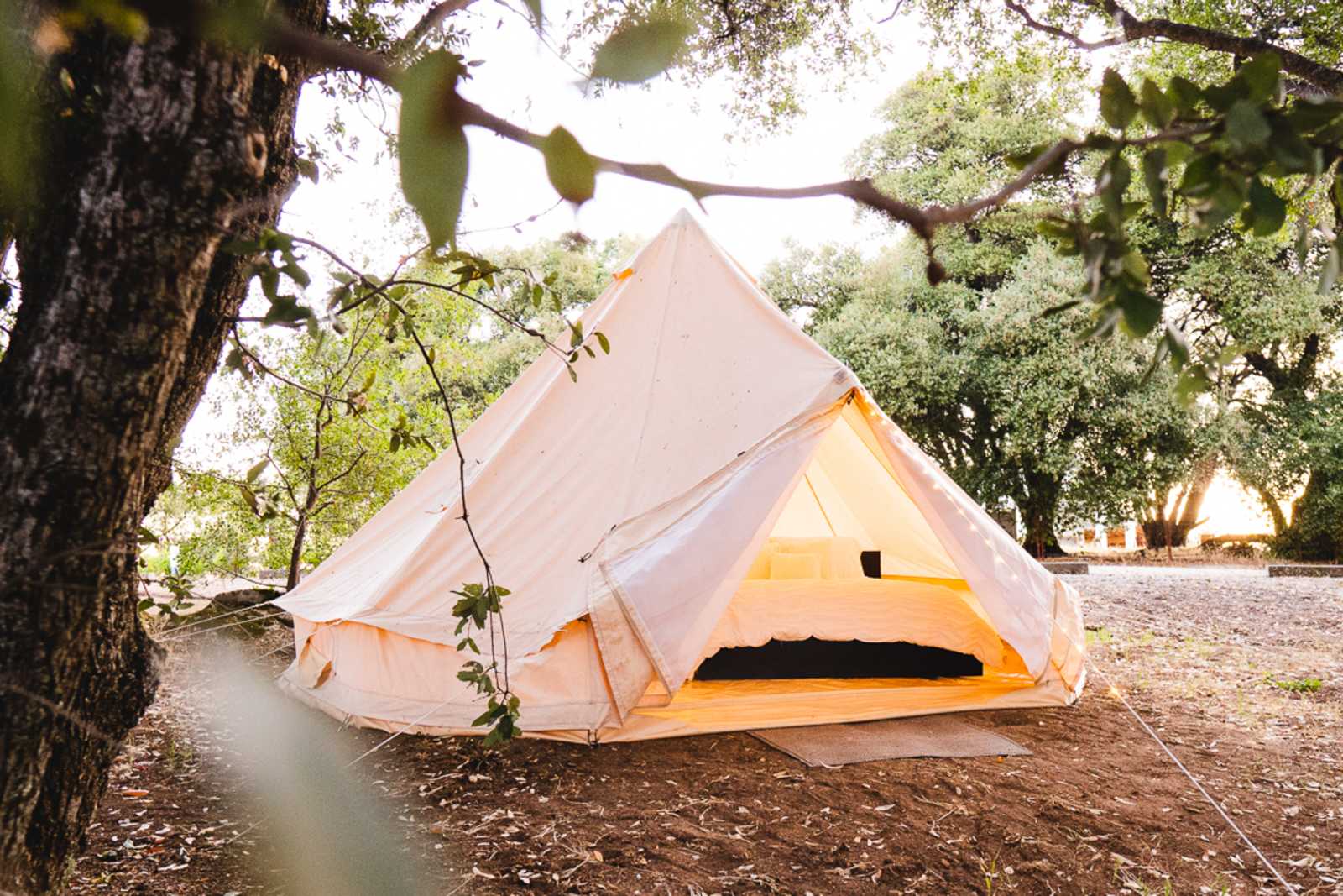 Camp ๐ Gold Dust Vineyard - Somerset, California - glamping.directory
